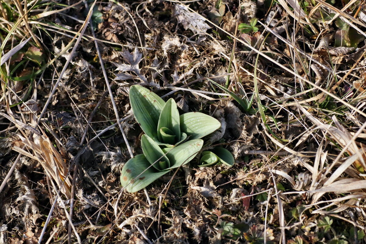 IMG-2016-02-13-00010977p_Bildgr��e �ndern