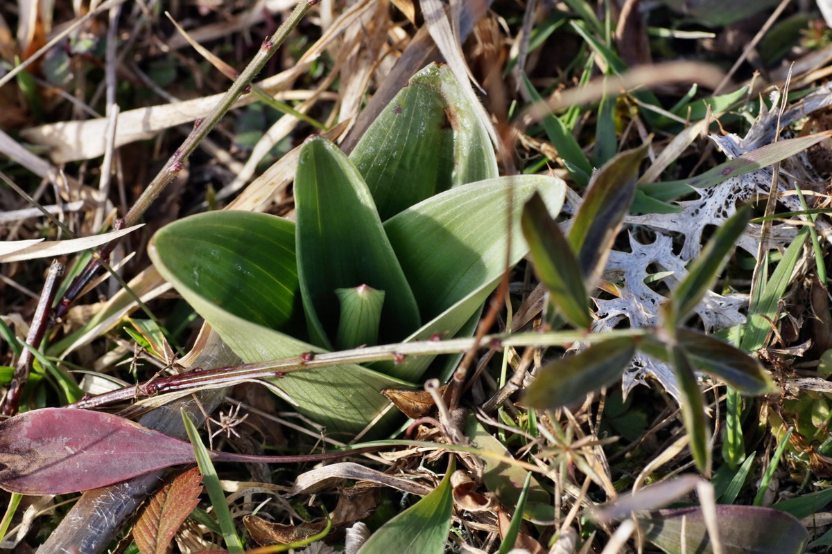 IMG-2016-02-13-00010981p_Bildgr��e �ndern