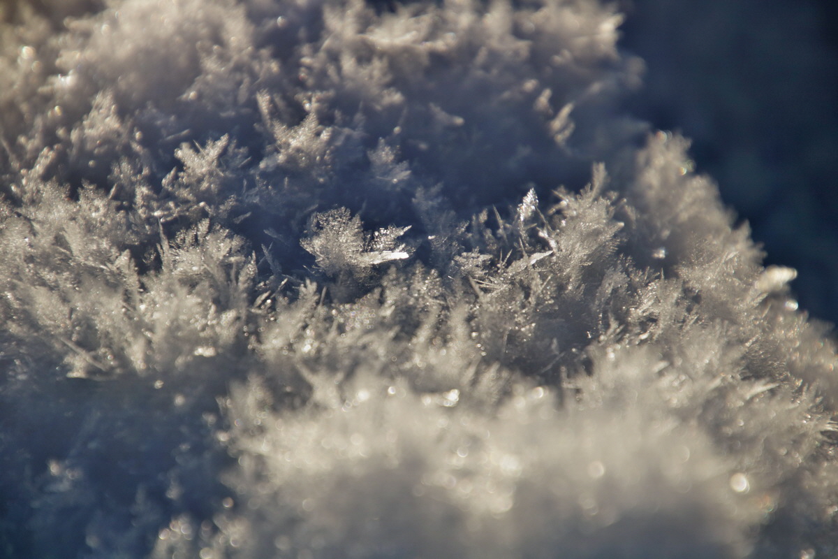 IMG-2016-01-18-00010734p_Bildgr��e �ndern