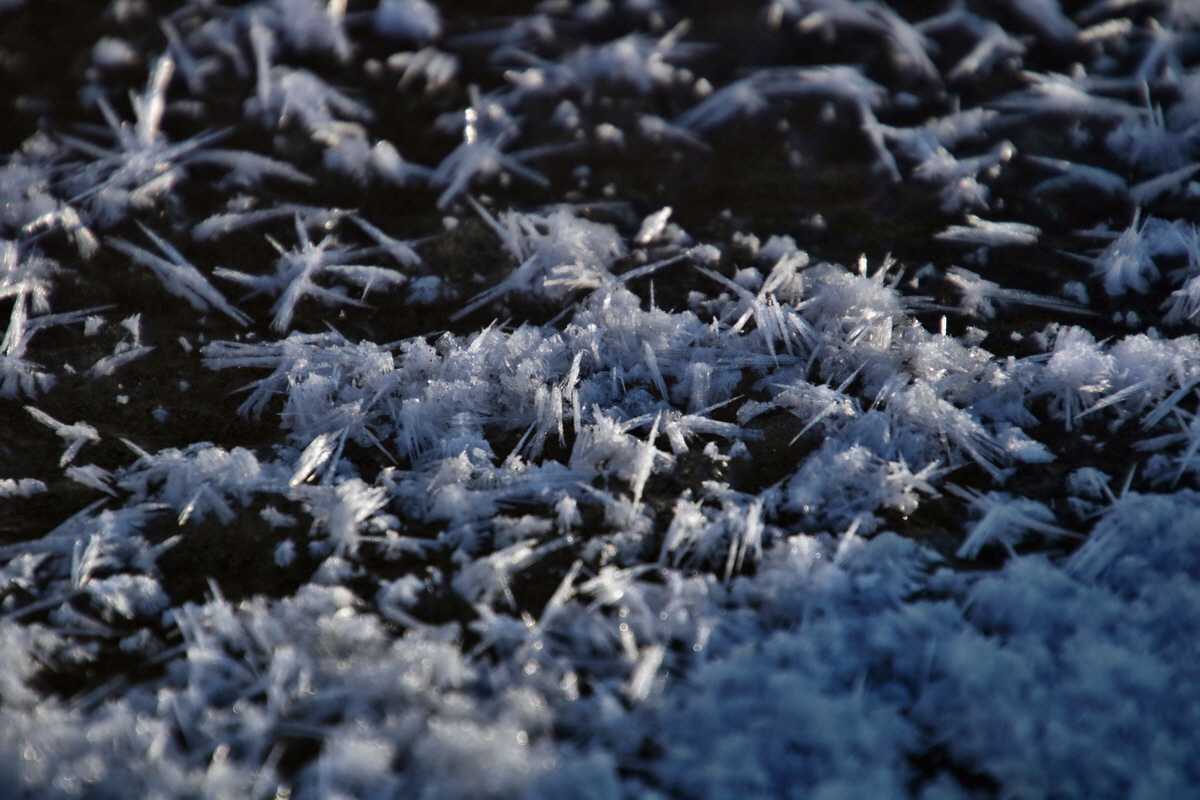 IMG-2016-01-18-00010737p_Bildgr��e �ndern