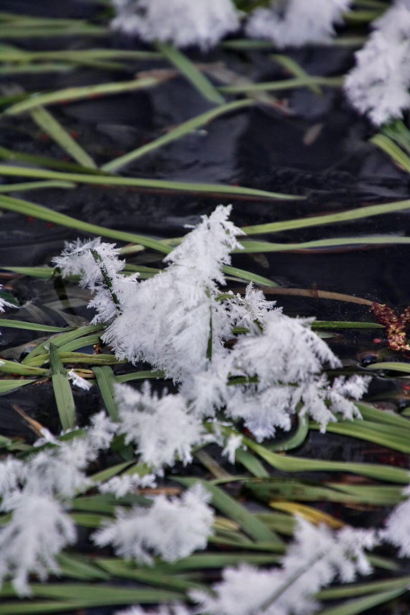 IMG-2016-01-19-00010777p_Bildgr��e �ndern