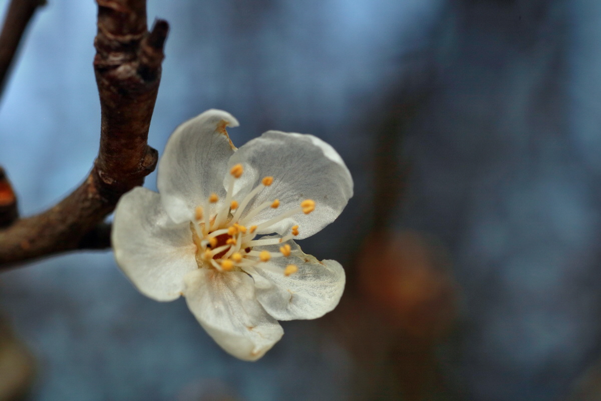 IMG-2016-02-28-00011058p_Bildgr��e �ndern