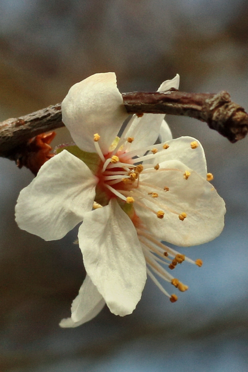 IMG-2016-02-28-00011060ap