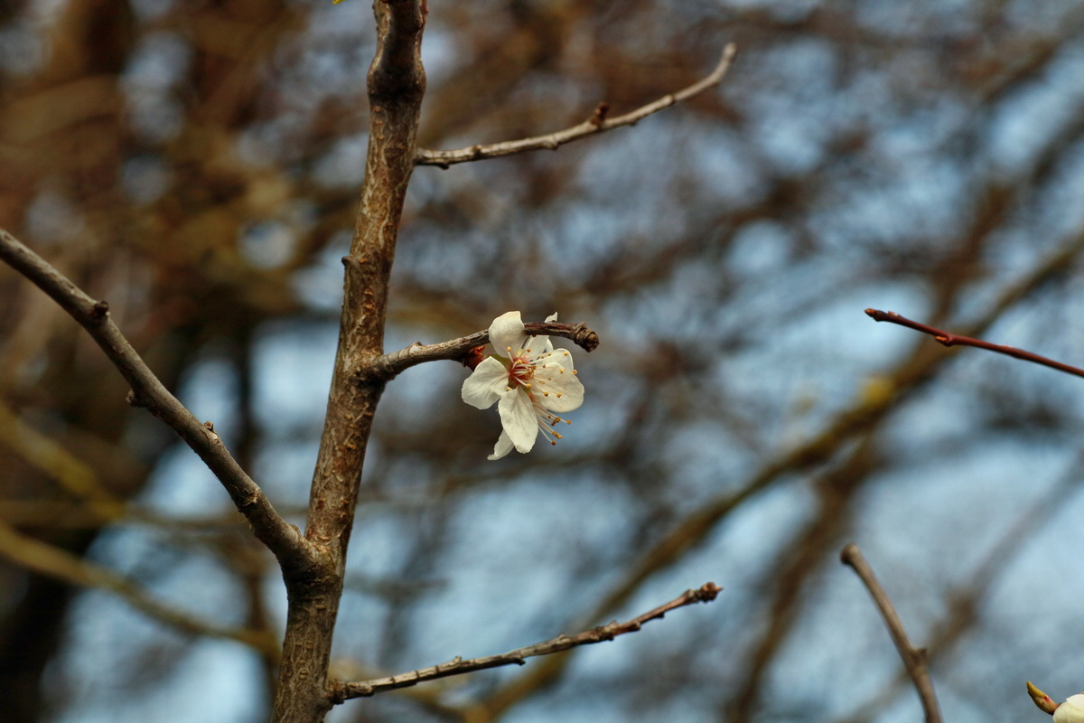 IMG-2016-02-28-00011060p_Bildgr��e �ndern