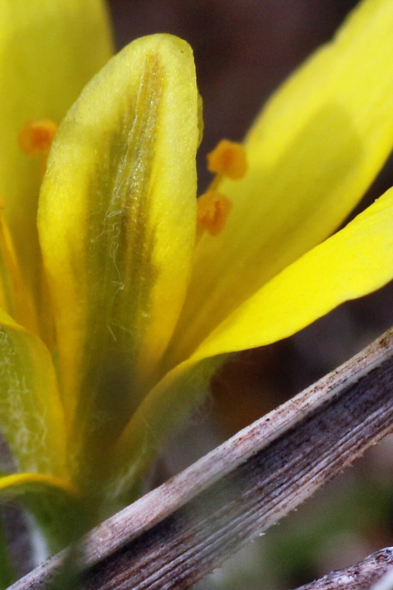 IMG-2016-02-28-00011062ap