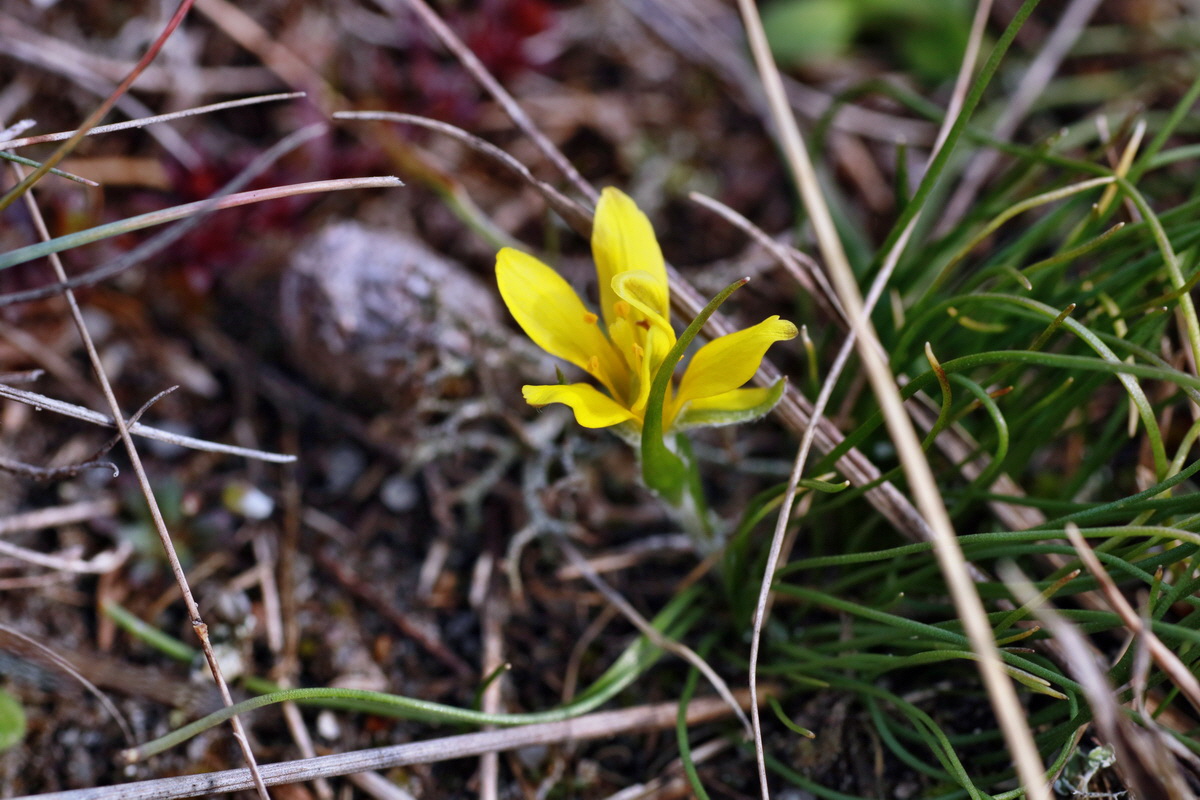 IMG-2016-02-28-00011065p_Bildgr��e �ndern