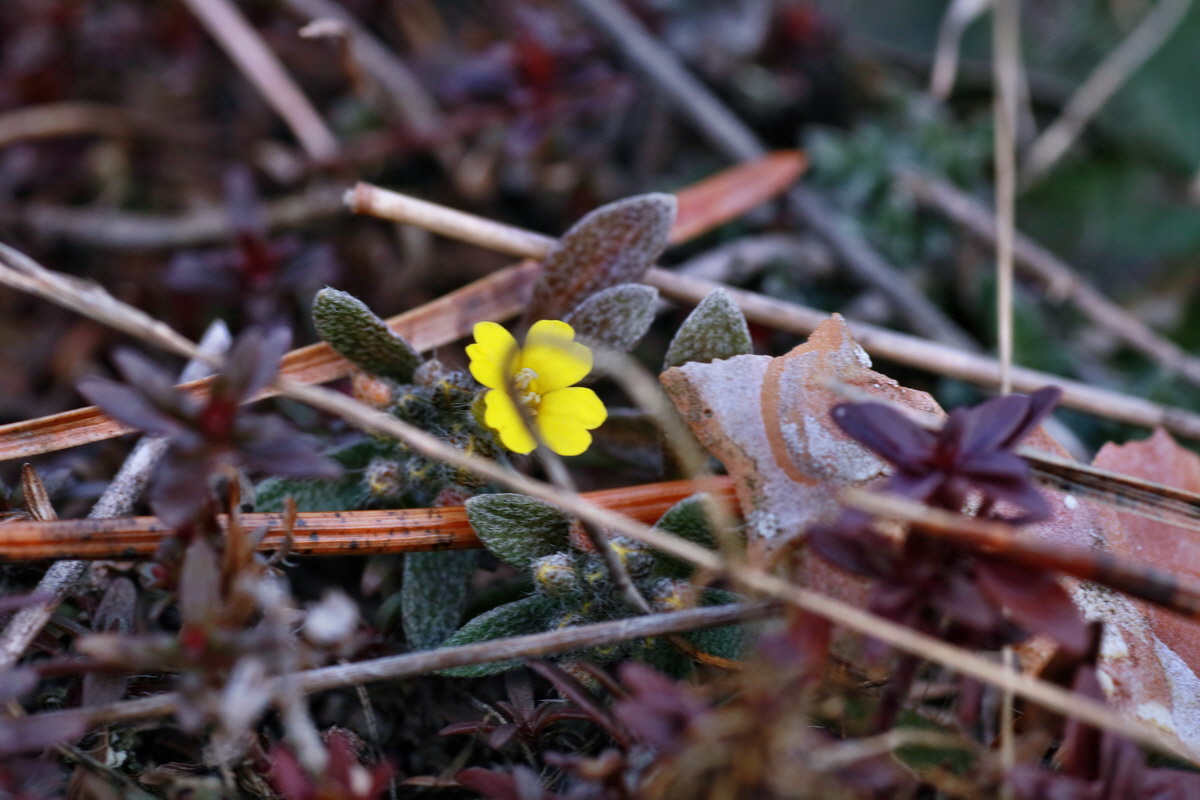 IMG-2016-02-28-00011067p_Bildgr��e �ndern