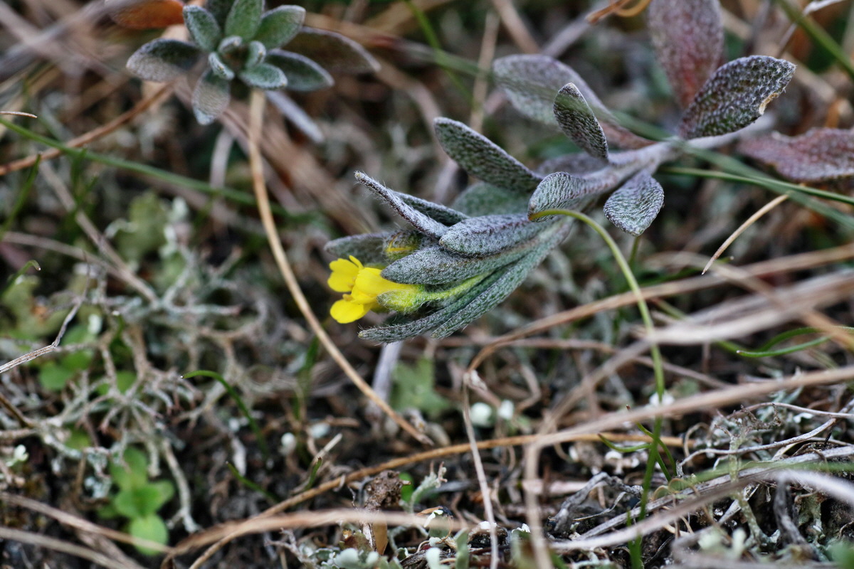 IMG-2016-02-28-00011070p_Bildgr��e �ndern