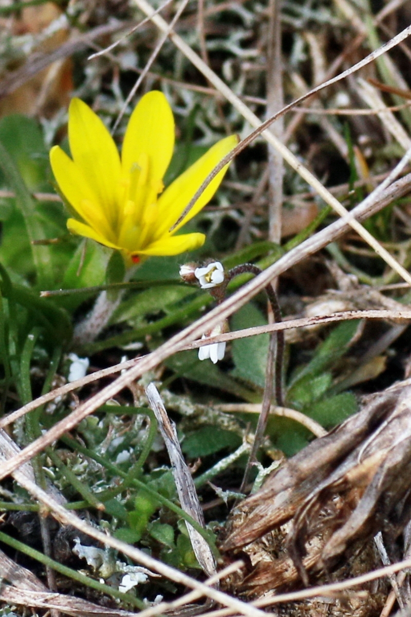 IMG-2016-02-28-00011078ap