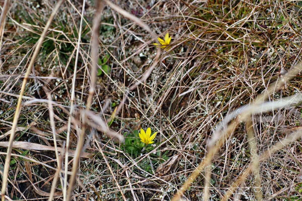 IMG-2016-02-28-00011078p_Bildgr��e �ndern