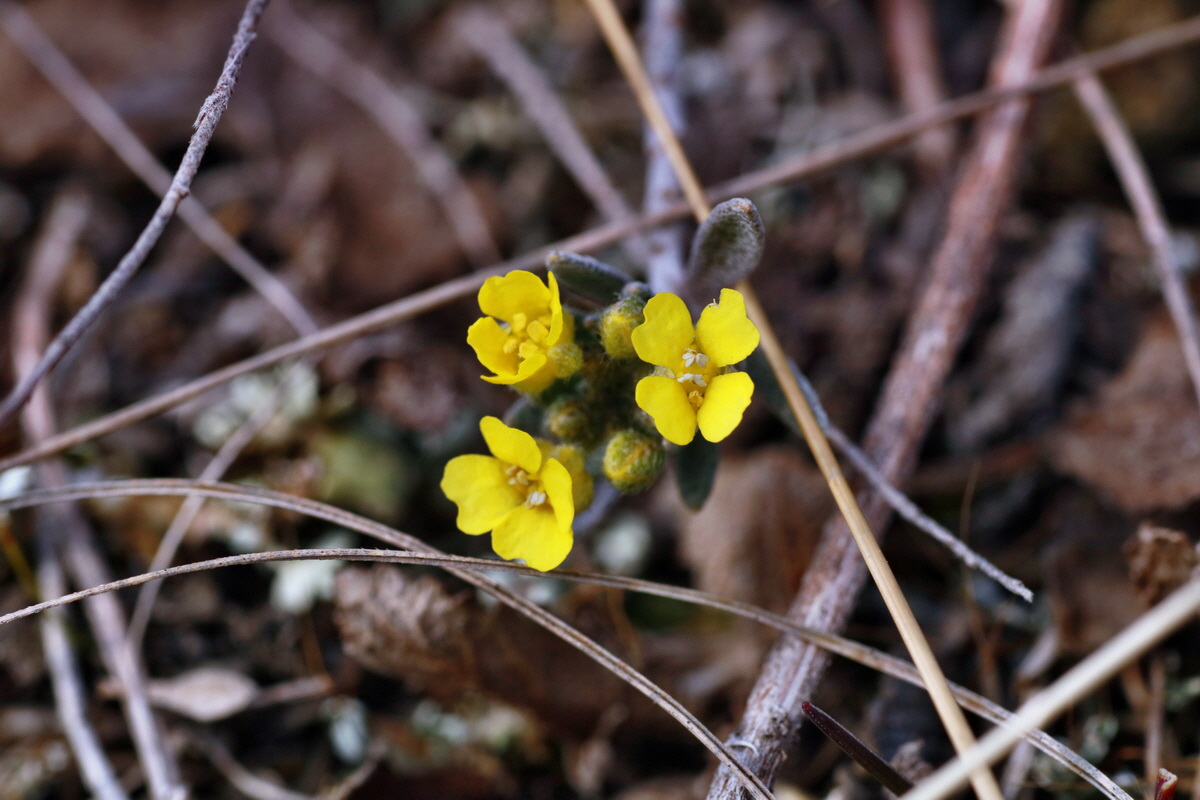 IMG-2016-02-28-00011080p_Bildgr��e �ndern