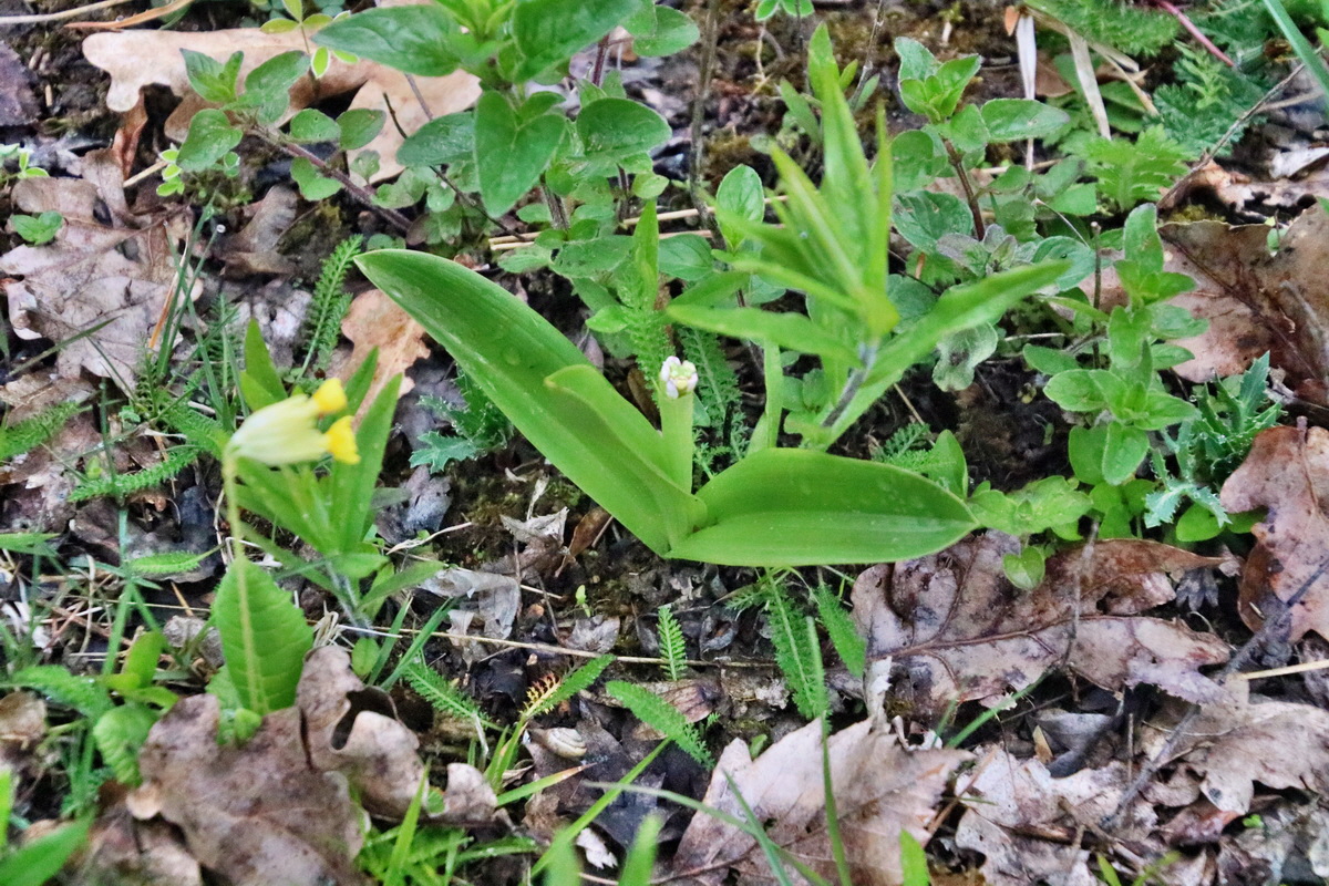 RNA_2017_05_02_1495p_Bildgr��e �ndern