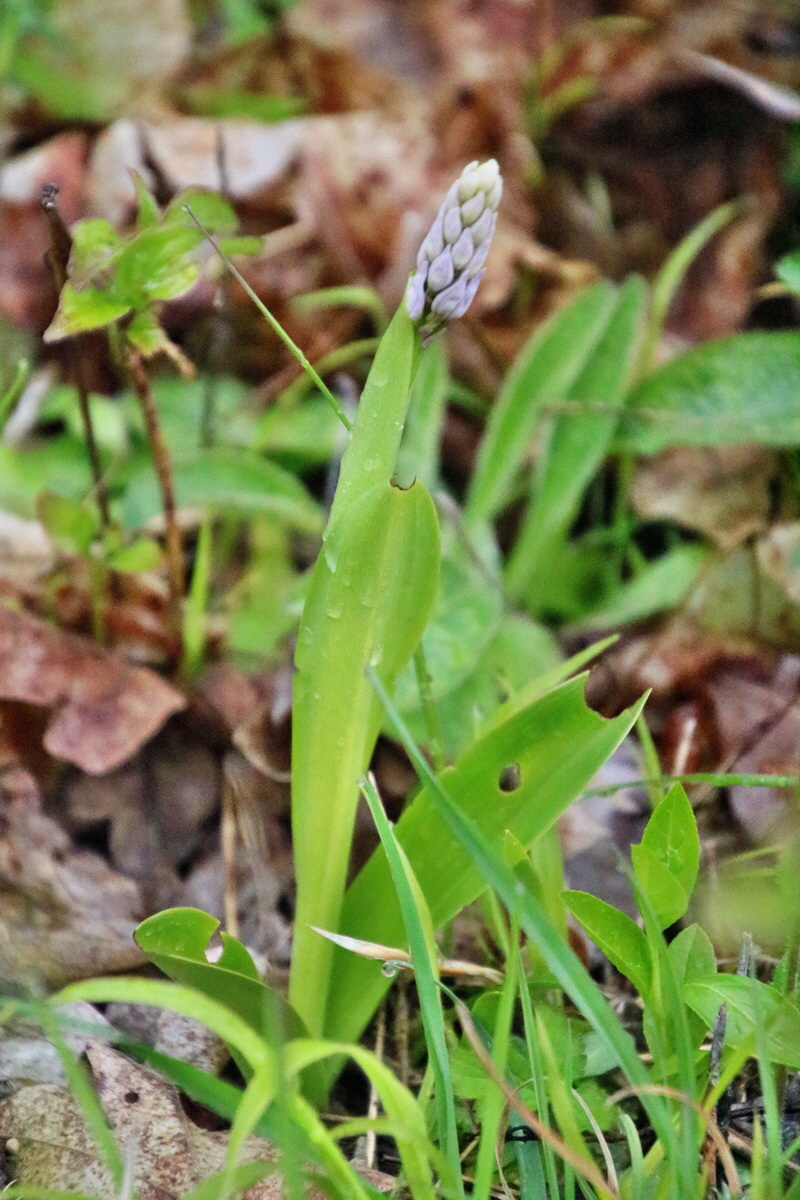 RNA_2017_05_02_1506p_Bildgr��e �ndern