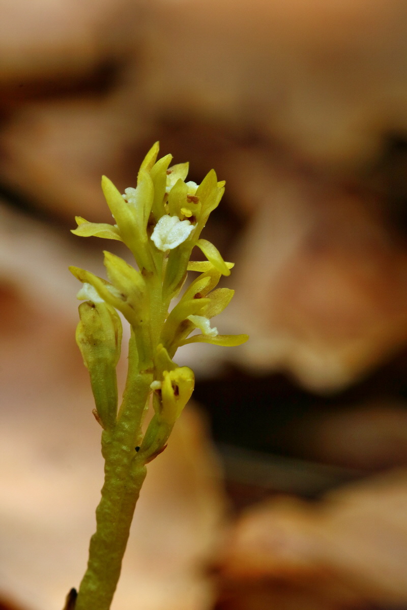 RNA_2017_05_03_2597p_Bildgr��e �ndern