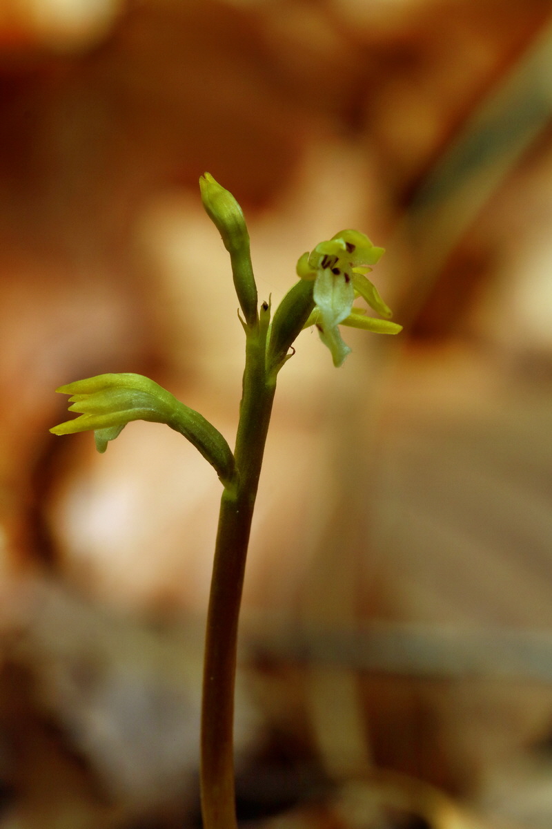 RNA_2017_05_03_2605p_Bildgr��e �ndern