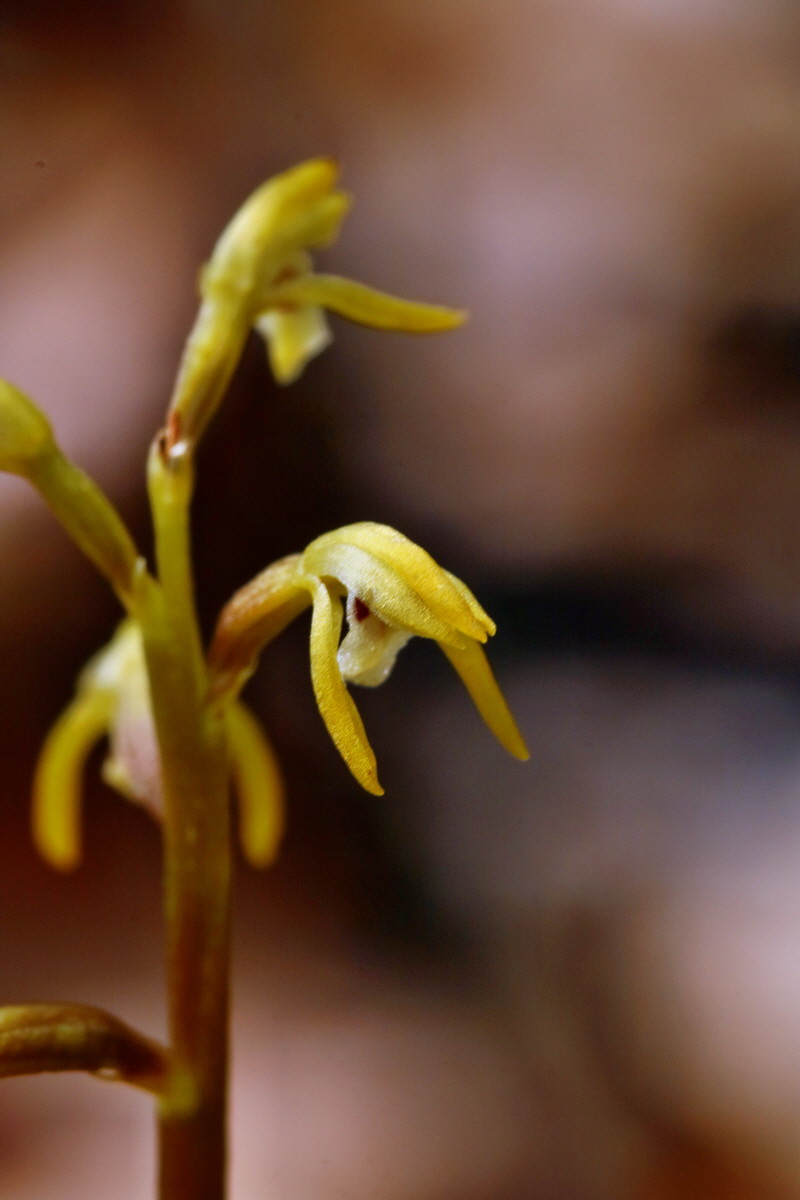 RNA_2017_05_03_2607p_Bildgr��e �ndern