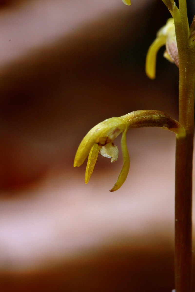 RNA_2017_05_03_2610p_Bildgr��e �ndern