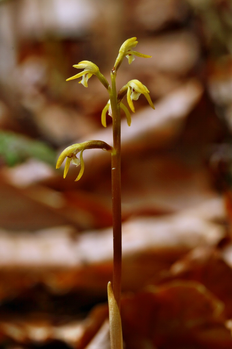 RNA_2017_05_03_2612p_Bildgr��e �ndern