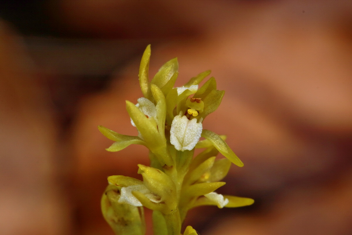 RNA_2017_05_03_2618p_Bildgr��e �ndern