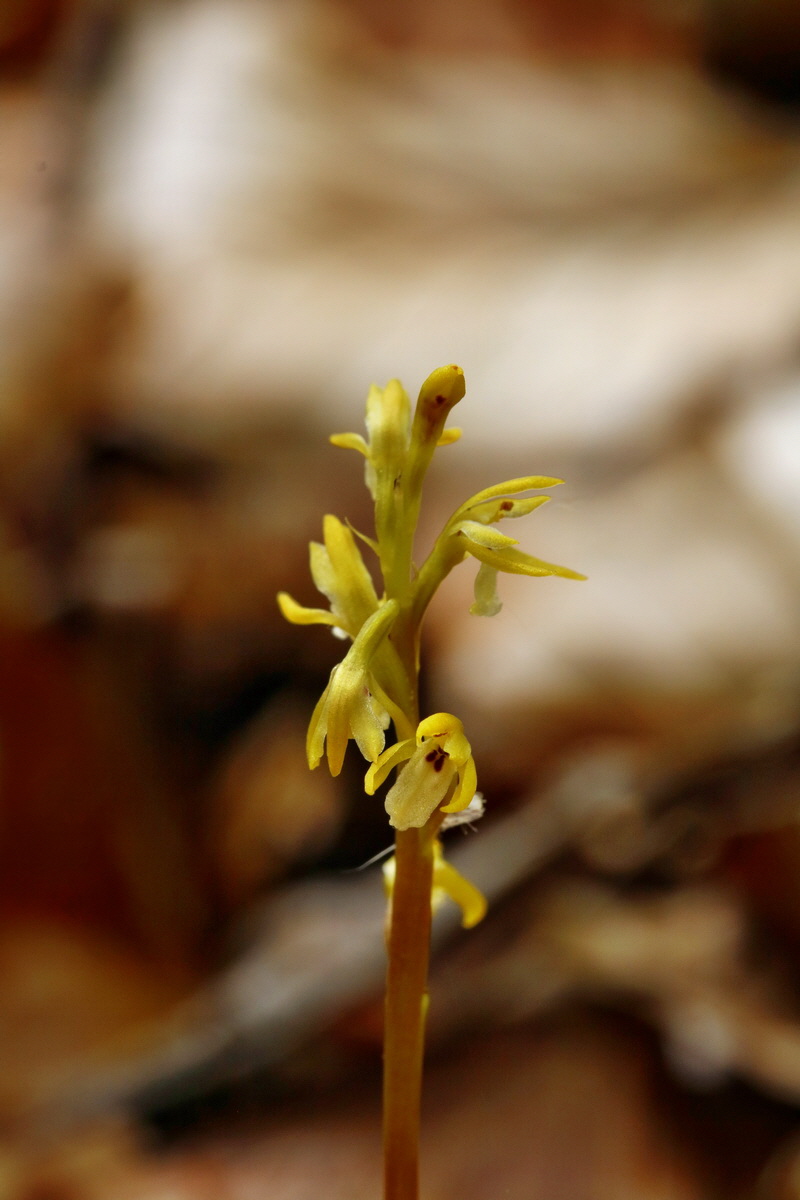 RNA_2017_05_03_2624p_Bildgr��e �ndern