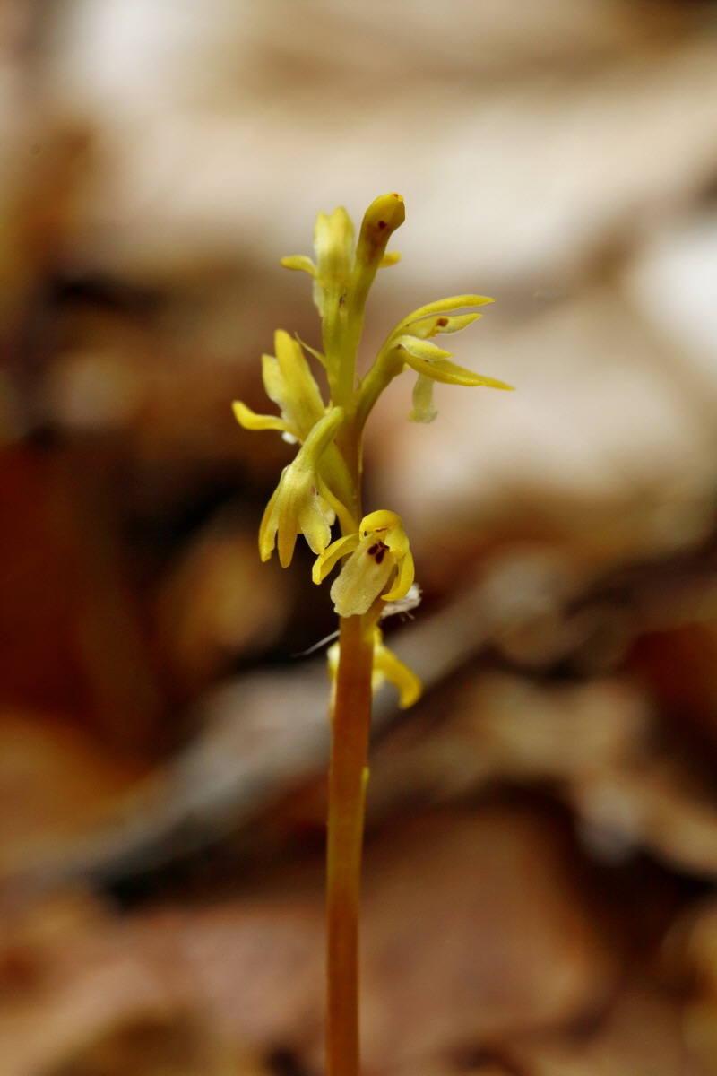 RNA_2017_05_03_2627p_Bildgr��e �ndern