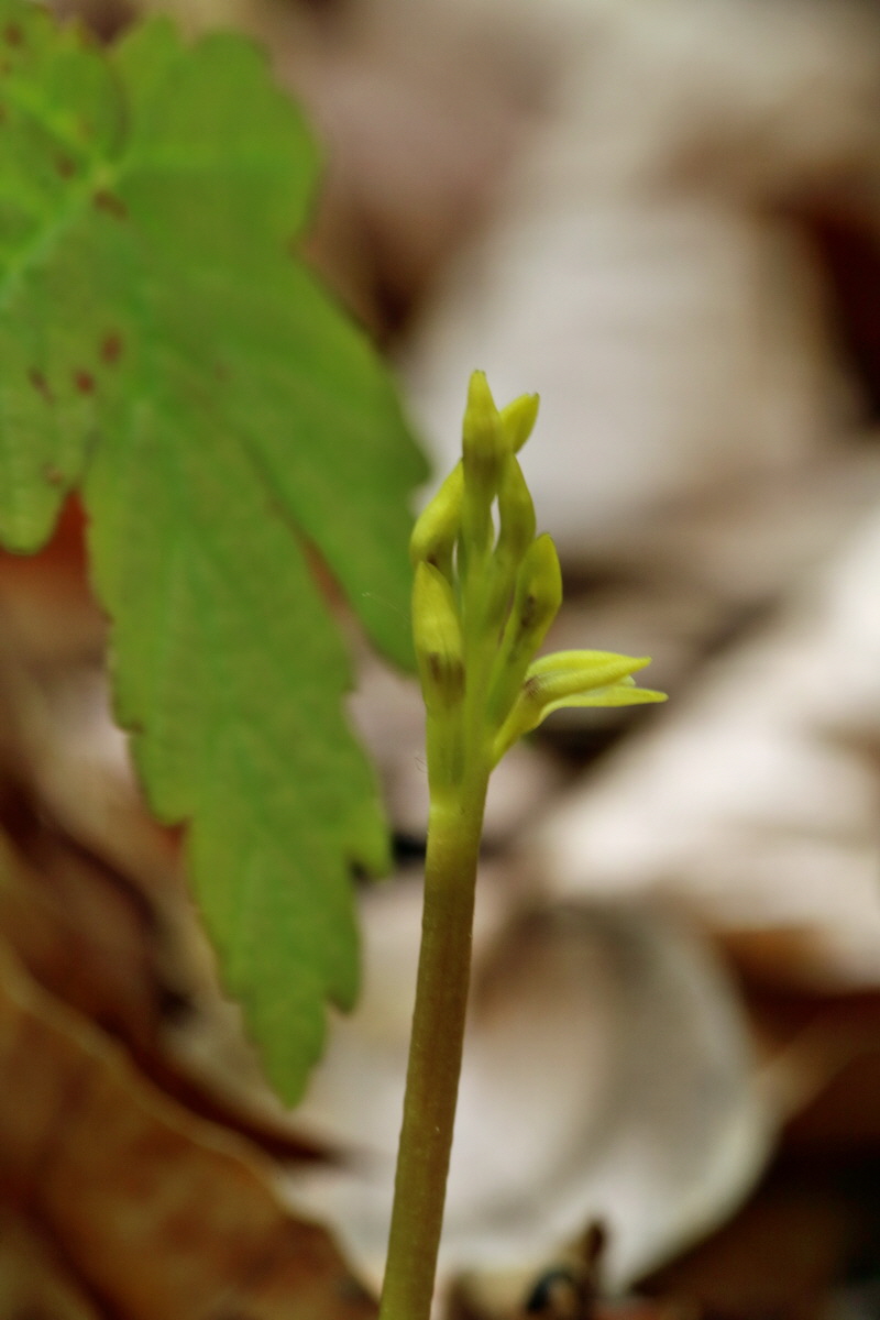 RNA_2017_05_03_2638p_Bildgr��e �ndern