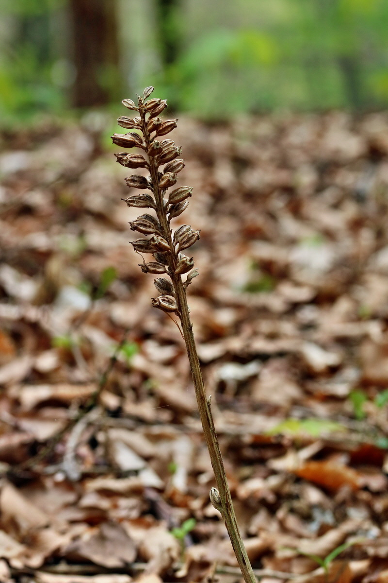 RNA_2017_05_03_2663p_Bildgr��e �ndern