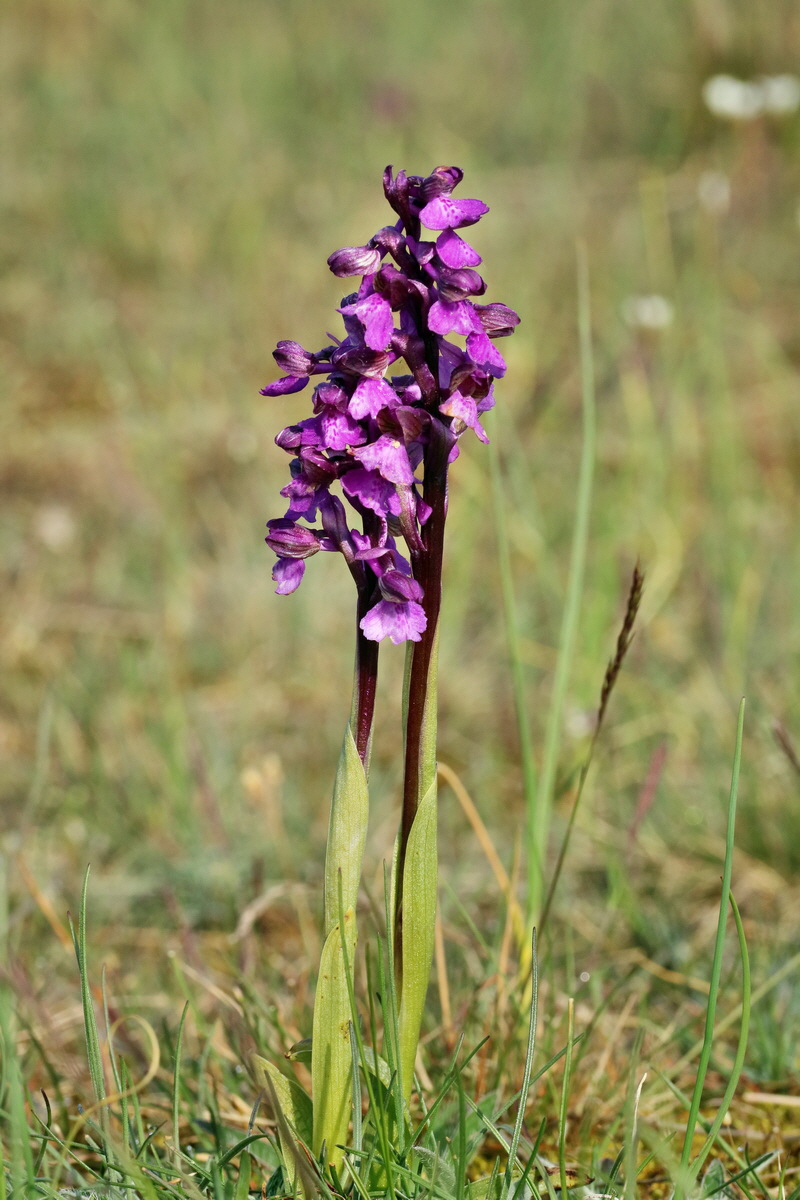 RNA_2017_05_03_1523p_Bildgr��e �ndern