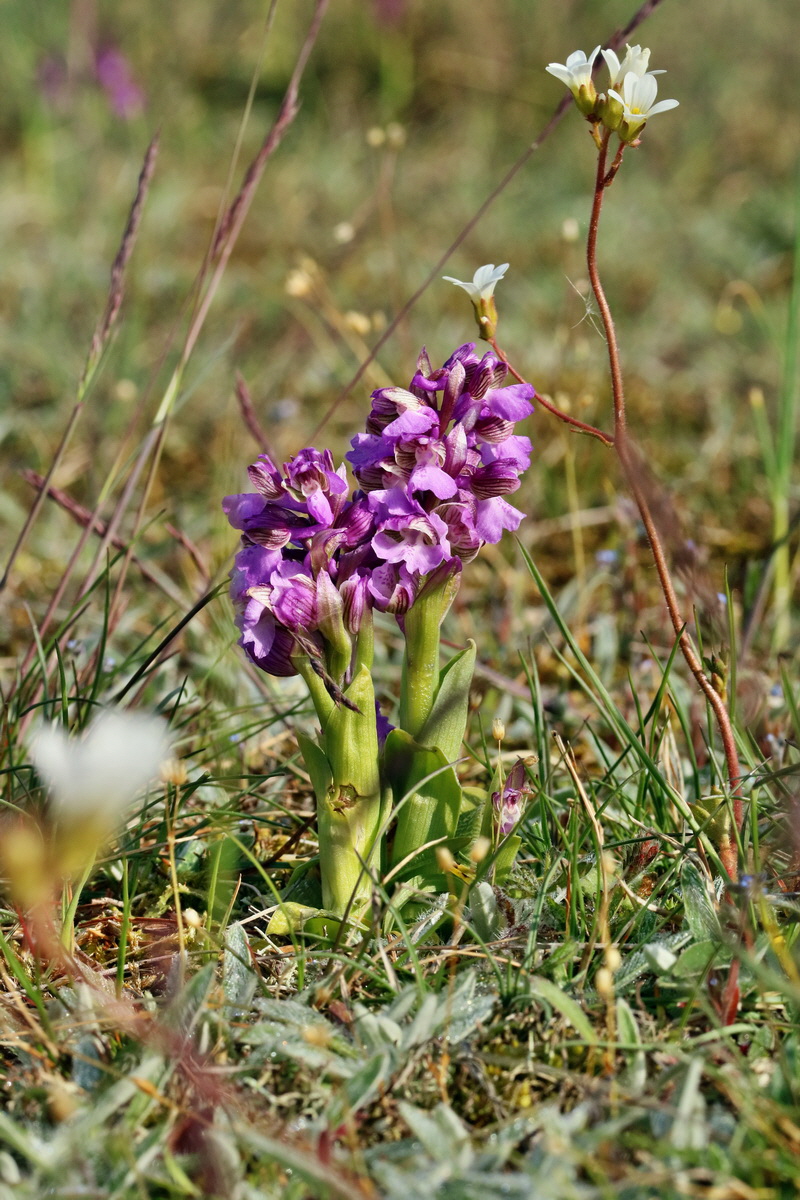 RNA_2017_05_03_1539p_Bildgr��e �ndern