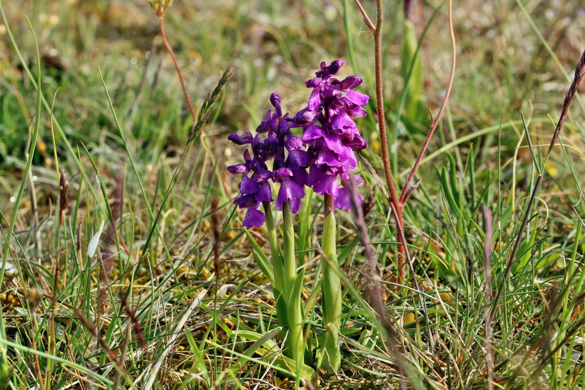 RNA_2017_05_03_1570p_Bildgr��e �ndern