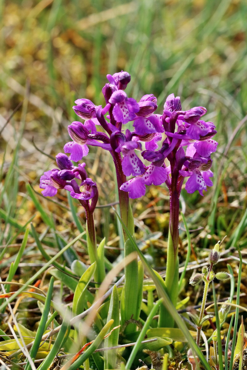 RNA_2017_05_03_1687p_Bildgr��e �ndern