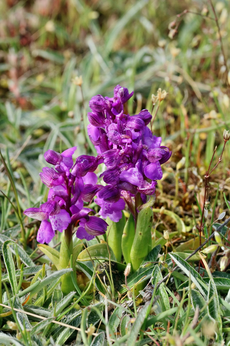 RNA_2017_05_03_1739p_Bildgr��e �ndern