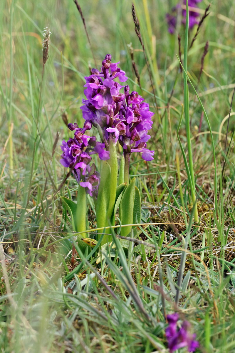 RNA_2017_05_03_1768p_Bildgr��e �ndern