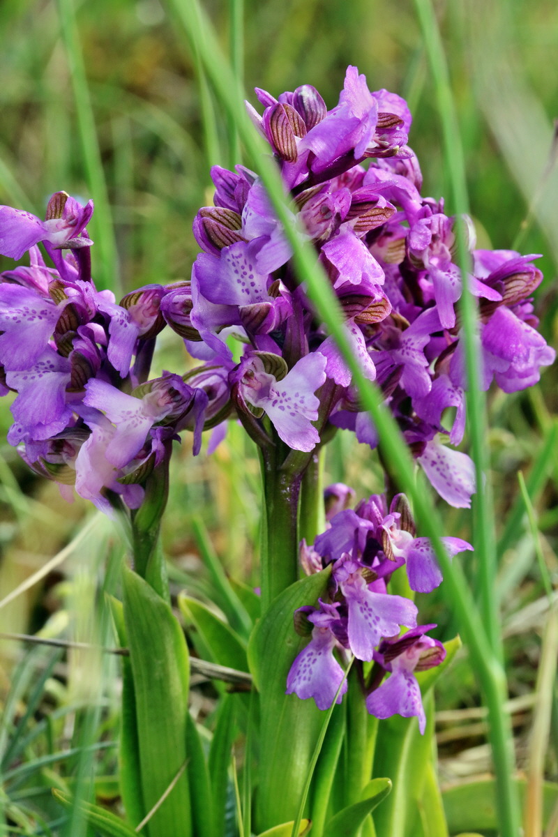 RNA_2017_05_03_1770p_Bildgr��e �ndern