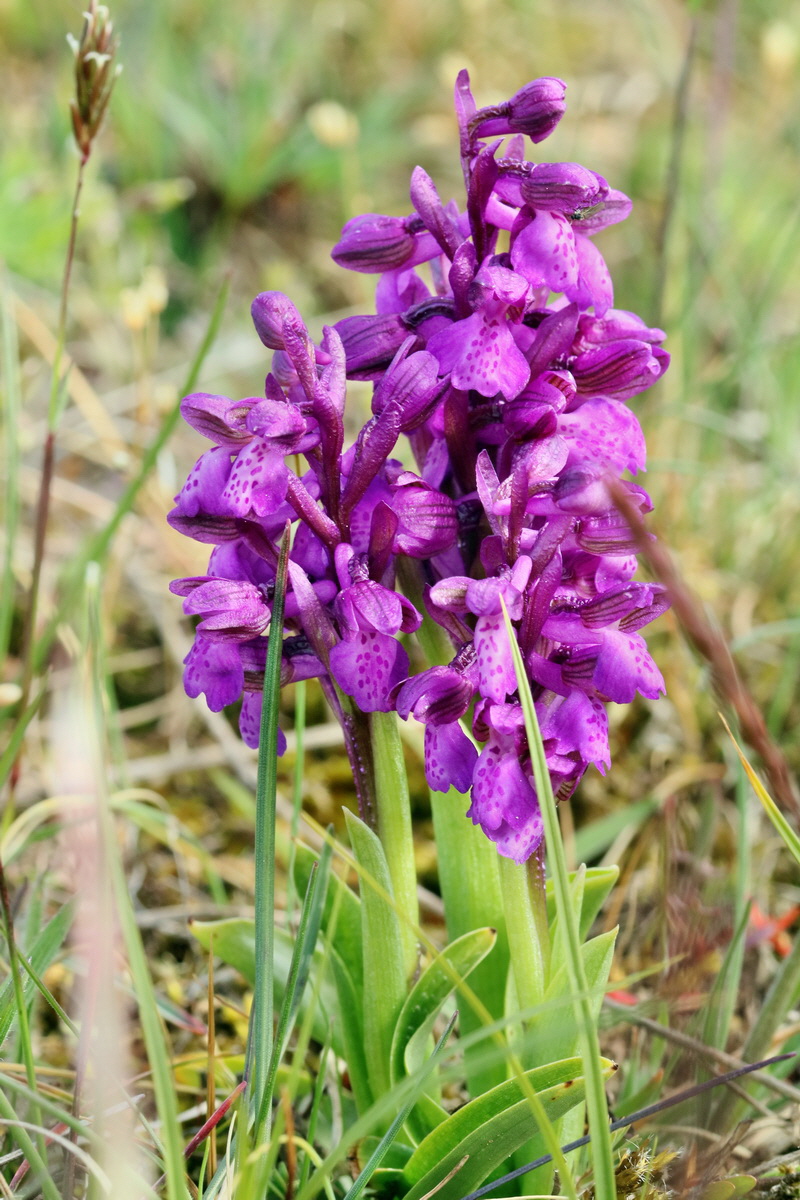 RNA_2017_05_03_1848p_Bildgr��e �ndern