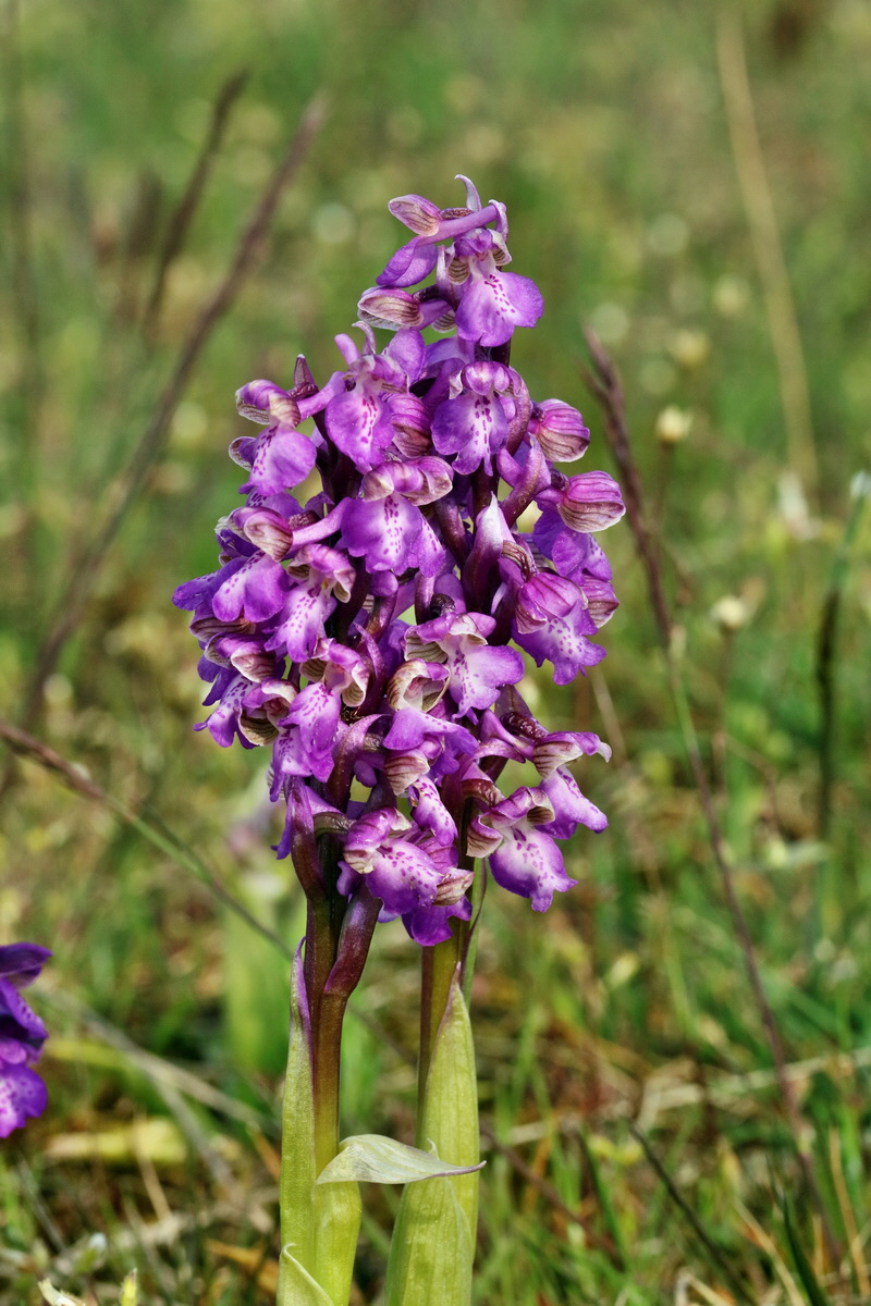 RNA_2017_05_03_2024p_Bildgr��e �ndern