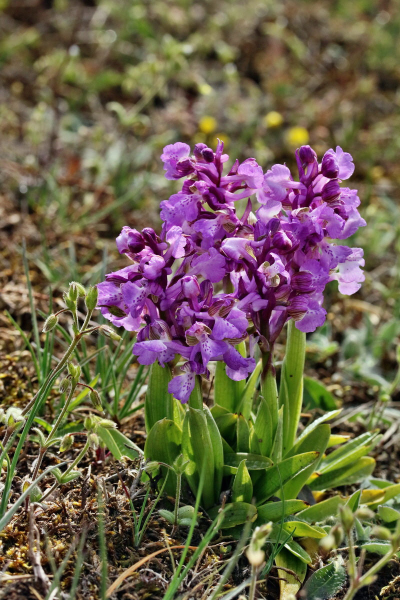 RNA_2017_05_03_2042p_Bildgr��e �ndern