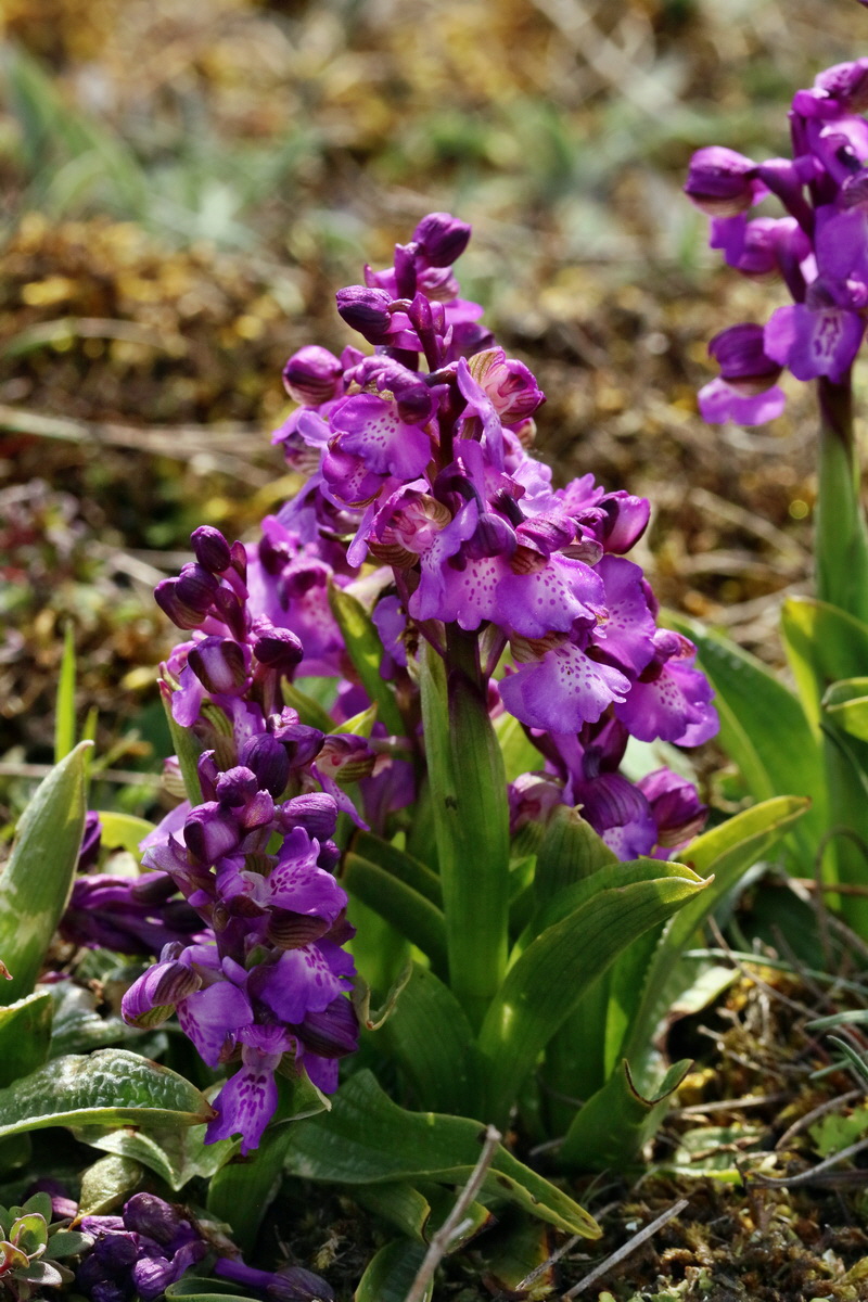 RNA_2017_05_03_2046p_Bildgr��e �ndern