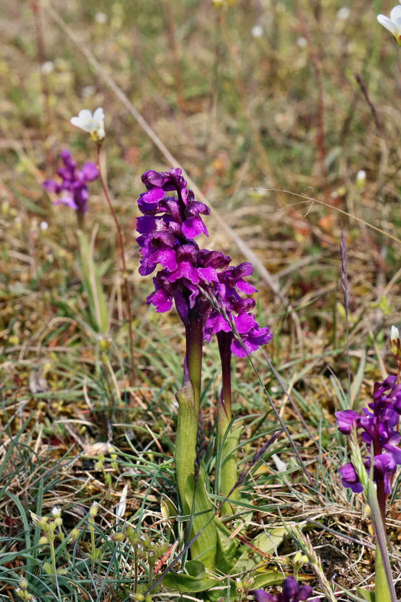 RNA_2017_05_03_2269p_Bildgr��e �ndern