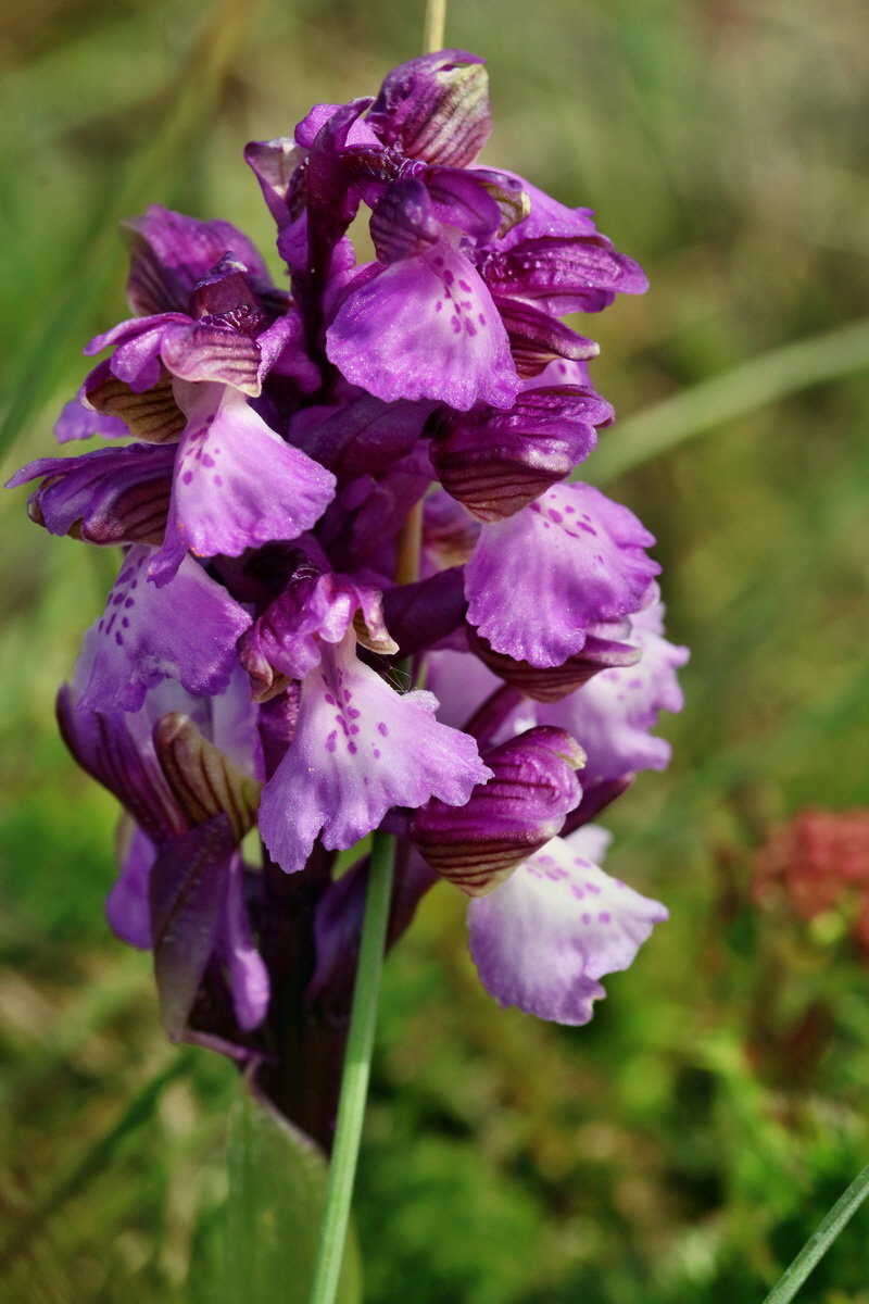 RNA_2017_05_03_2421p_Bildgr��e �ndern