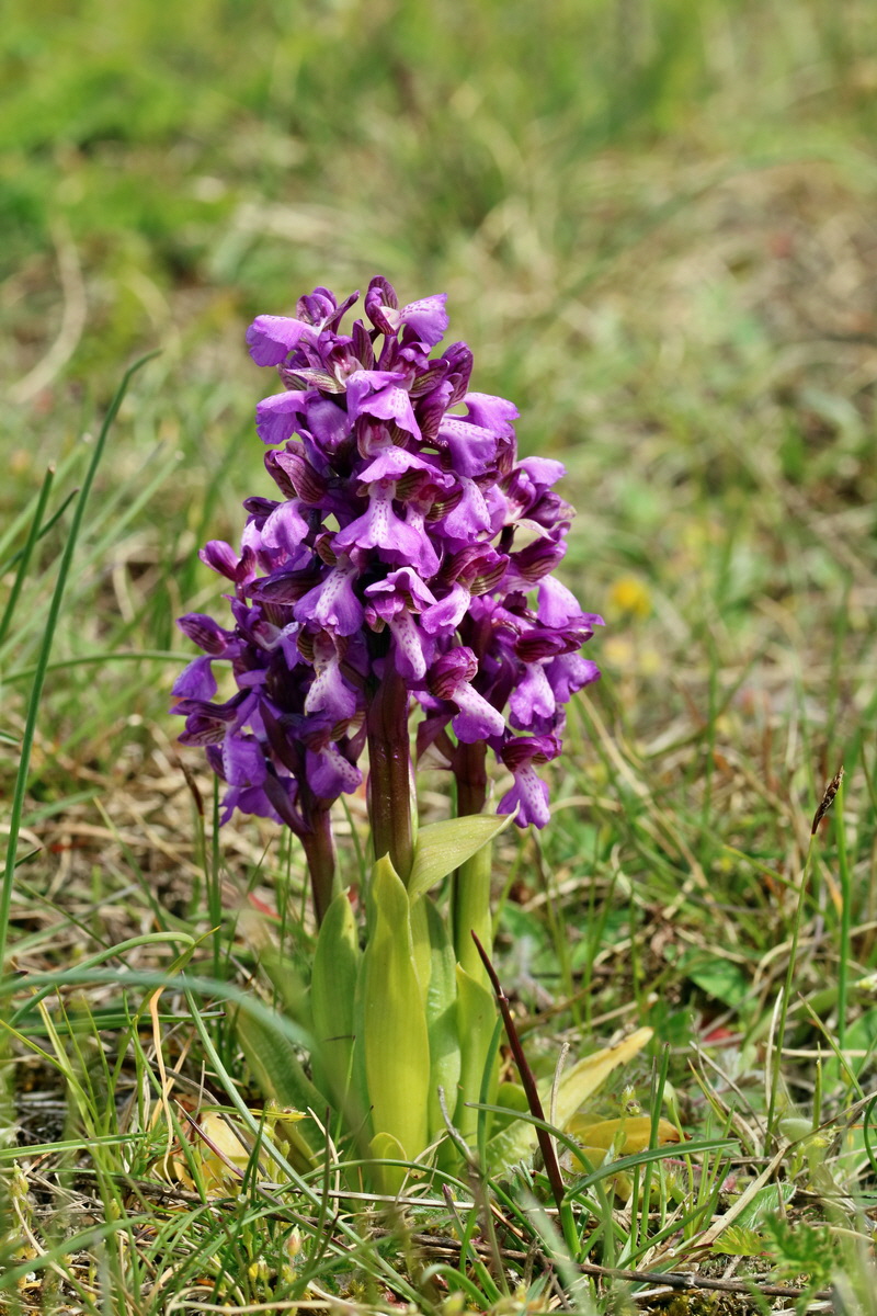 RNA_2017_05_03_2423p_Bildgr��e �ndern