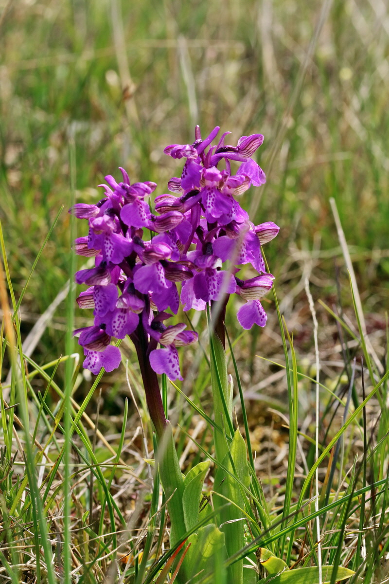 RNA_2017_05_03_2427p_Bildgr��e �ndern