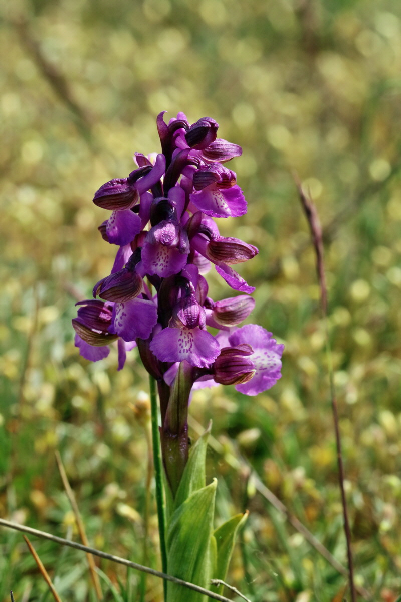 RNA_2017_05_03_2401p_Bildgr��e �ndern