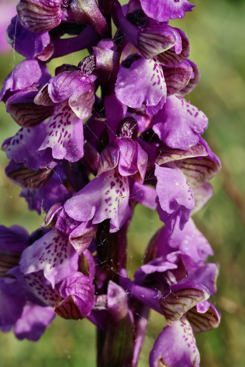 RNA_2017_05_03_1532p_Bildgr��e �ndern