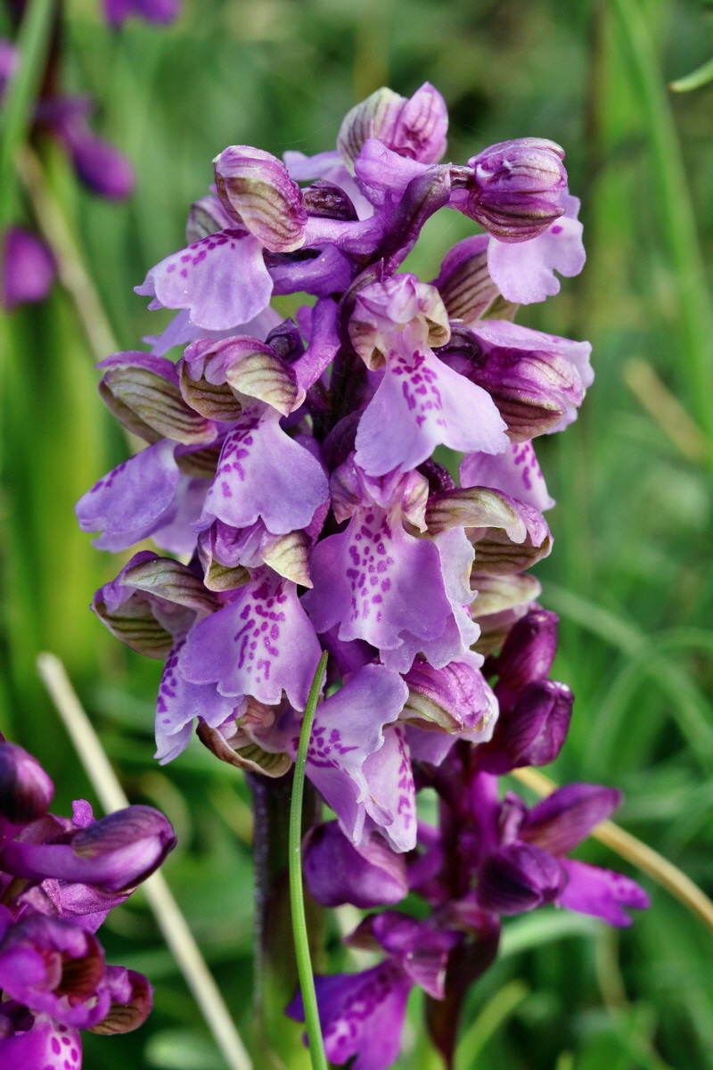 RNA_2017_05_03_1591p_Bildgr��e �ndern