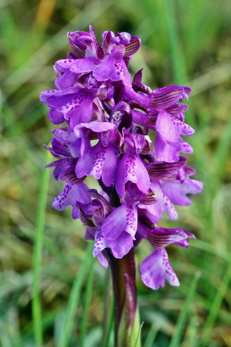 RNA_2017_05_03_1592p_Bildgr��e �ndern