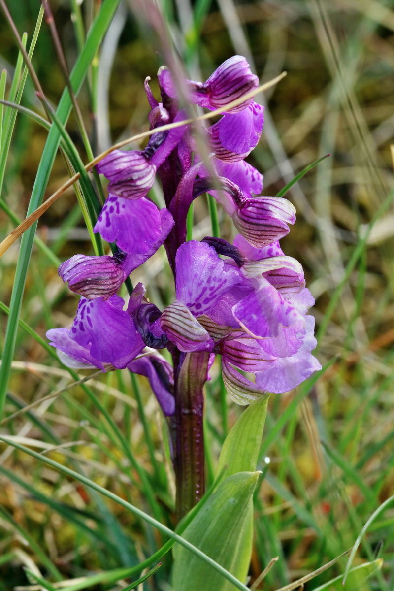 RNA_2017_05_03_1595p_Bildgr��e �ndern