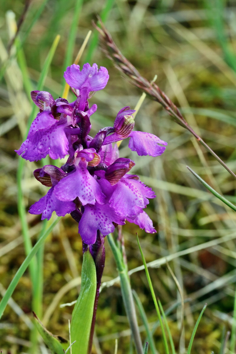 RNA_2017_05_03_1598p_Bildgr��e �ndern