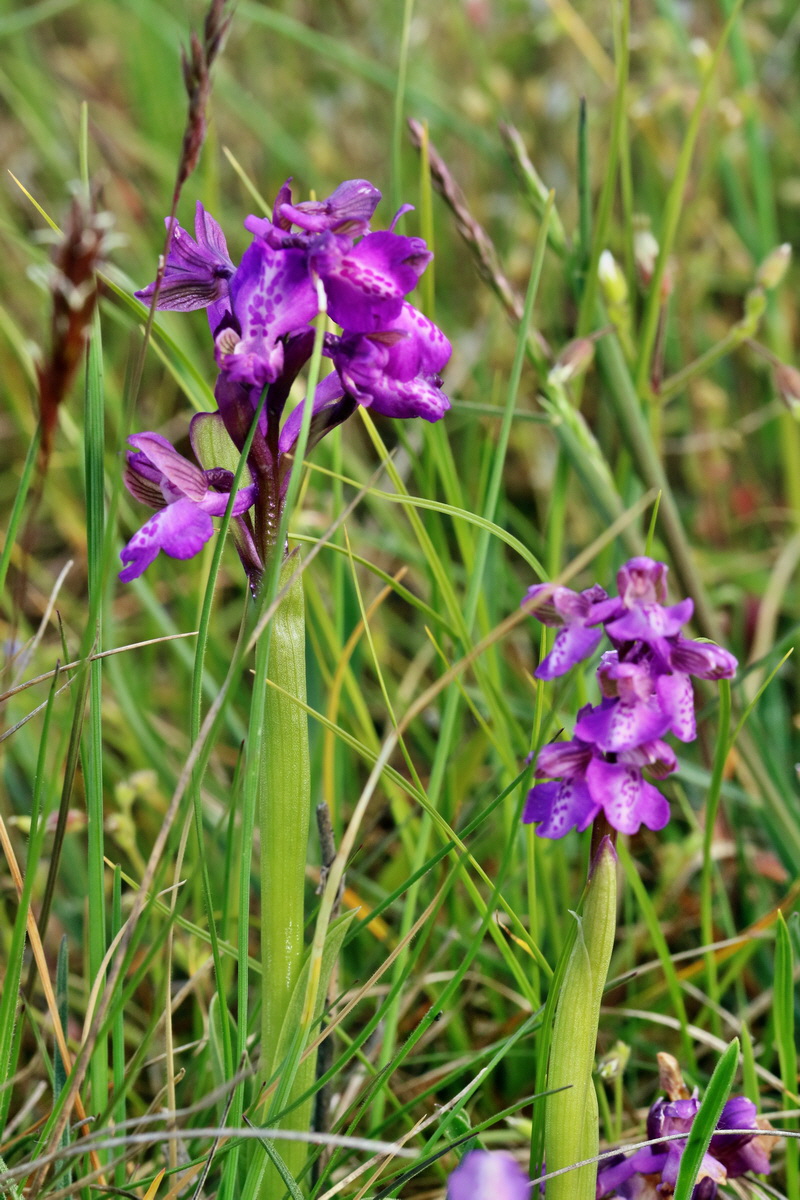 RNA_2017_05_03_1602p_Bildgr��e �ndern