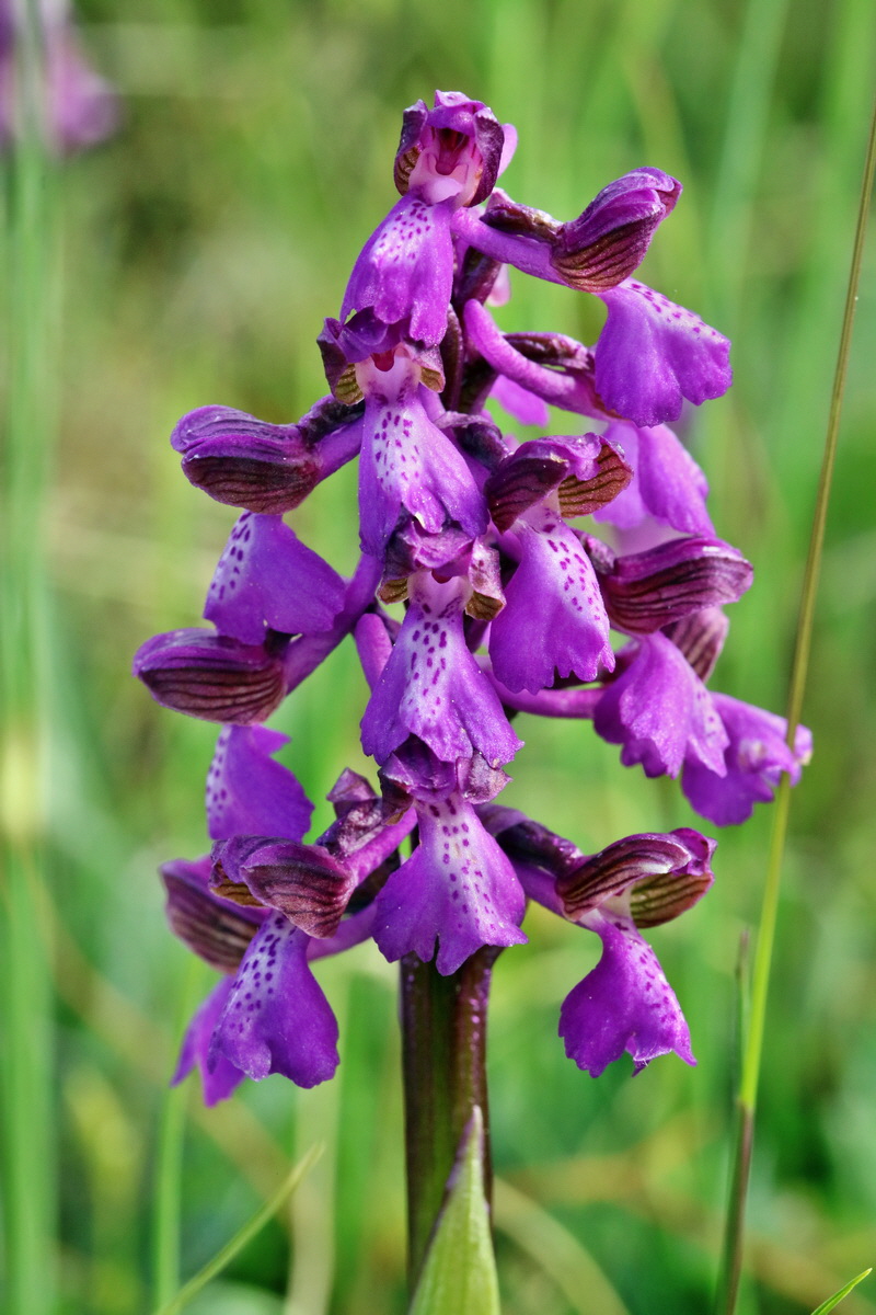 RNA_2017_05_03_1604p_Bildgr��e �ndern